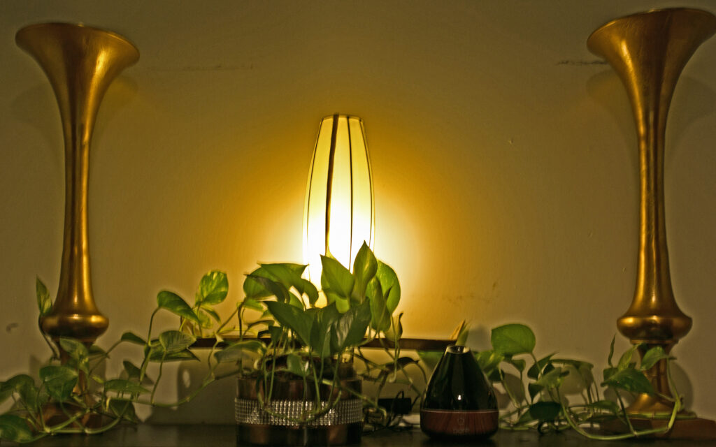 Ambient lamp glow with tropical plants